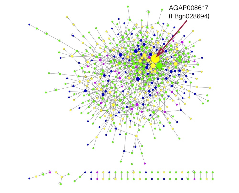 Screenshot of a protein-protein interaction network with certain genes highlighted